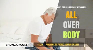 Understanding Muscle Weakness: Causes of Full-Body Fatigue Explained