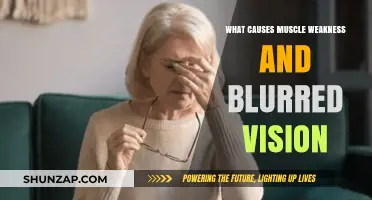 Muscle Weakness and Blurred Vision: Uncovering Common Causes and Concerns