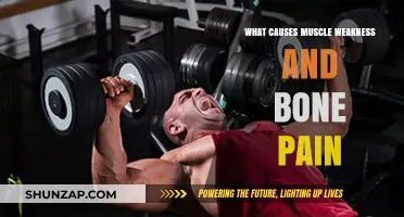 Understanding Muscle Weakness and Bone Pain: Causes and Solutions