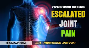 Understanding Muscle Weakness and Escalated Joint Pain: Causes and Solutions