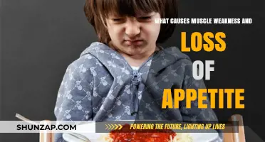 Understanding Muscle Weakness and Appetite Loss: Causes and Concerns