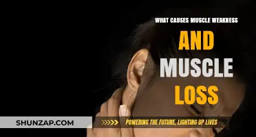 Understanding Muscle Weakness and Loss: Causes and Contributing Factors