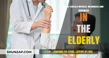 Understanding Muscle Weakness and Soreness in Aging Adults: Causes Explained