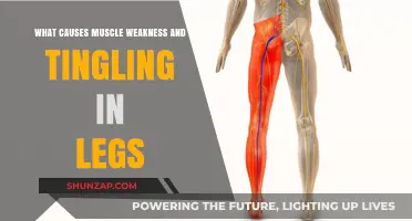 Understanding Muscle Weakness and Tingling in Legs: Causes and Solutions