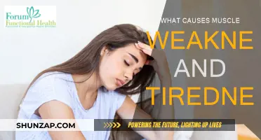 Muscle Weakness and Fatigue: Uncovering the Root Causes