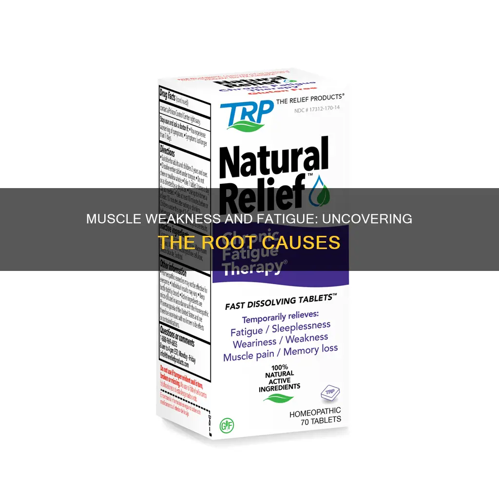 what causes muscle weakness and tiredness