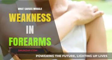 Understanding Forearm Muscle Weakness: Causes and Contributing Factors Explained