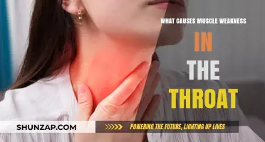 Understanding Throat Muscle Weakness: Causes, Symptoms, and Treatment Options