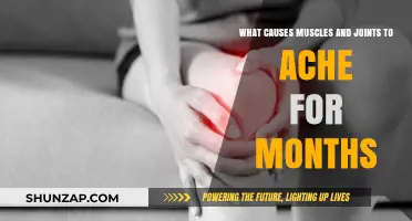 Persistent Muscle and Joint Pain: Uncovering the Causes and Solutions