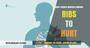 Rib Muscle Pain: Common Causes and When to Seek Help