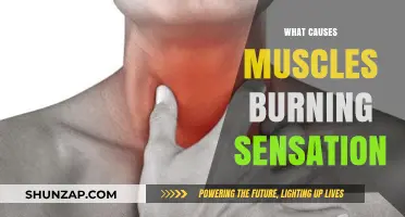 Muscle Burning Sensation: Causes, Triggers, and Effective Relief Strategies