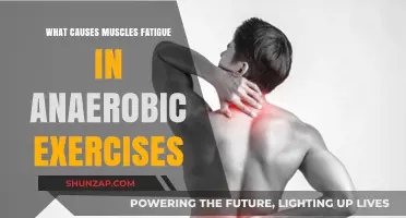 Unraveling Muscle Fatigue: Causes in Anaerobic Workouts Explained