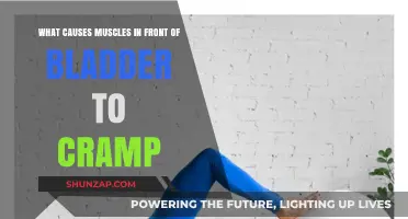 Understanding Bladder Muscle Cramps: Causes and Frontal Discomfort Explained