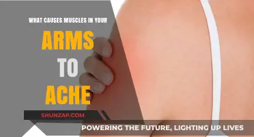 Why Your Arm Muscles Ache: Common Causes and Remedies Explained