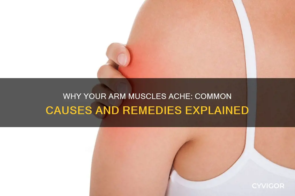 what causes muscles in your arms to ache