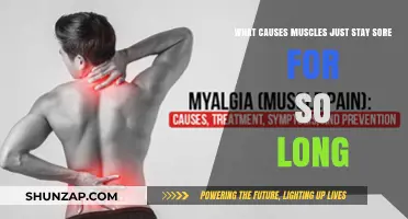 Why Muscles Stay Sore: Uncovering Prolonged Pain Causes and Remedies