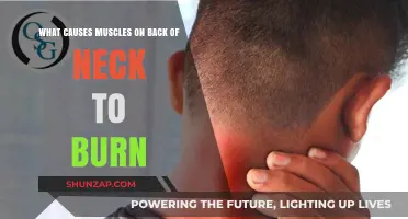 Neck Muscle Burning: Causes, Triggers, and Relief Strategies Explained