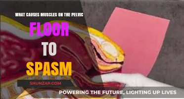 Understanding Pelvic Floor Muscle Spasms: Causes and Triggers Explained