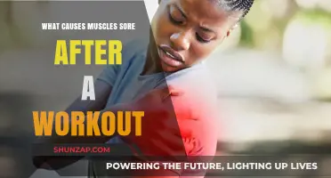 Why Muscles Ache Post-Workout: Unraveling the Science Behind Soreness