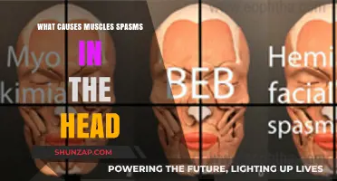 Understanding Head Muscle Spasms: Causes and Triggers Explained