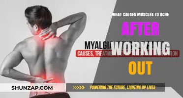 Why Muscles Ache Post-Workout: Understanding Delayed Onset Muscle Soreness