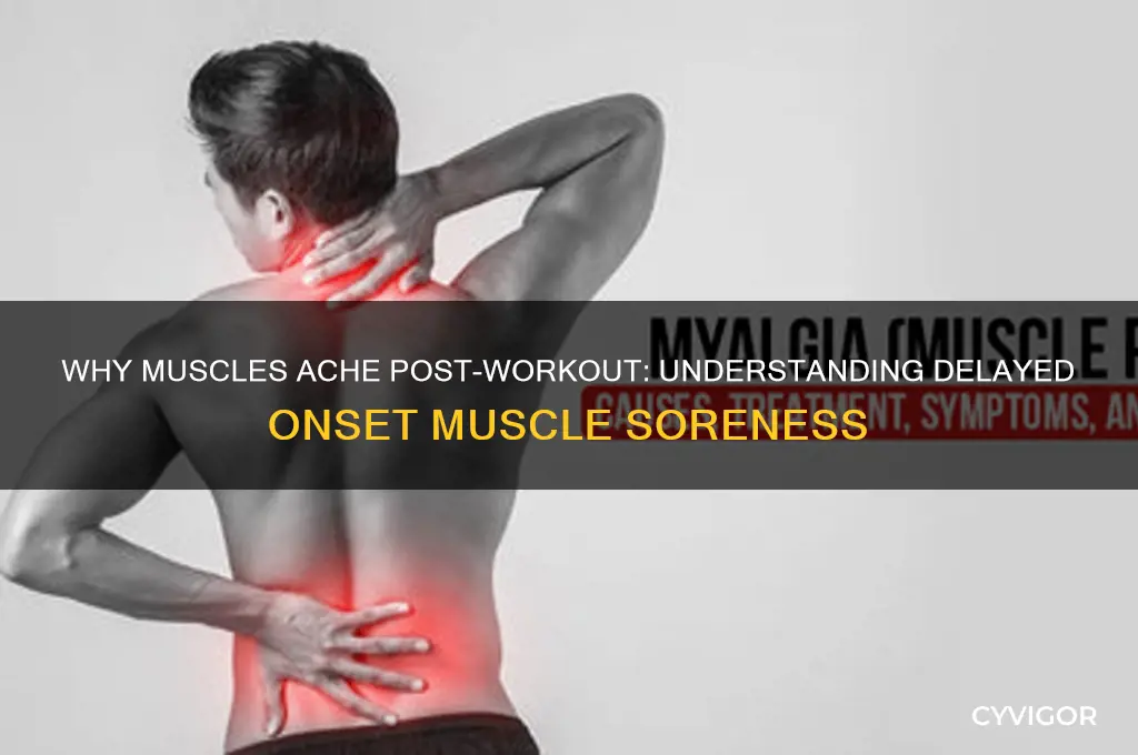 what causes muscles to ache after working out