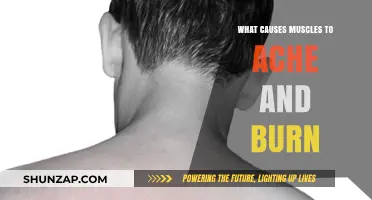 Understanding Muscle Aches and Burning: Causes and Remedies Explained