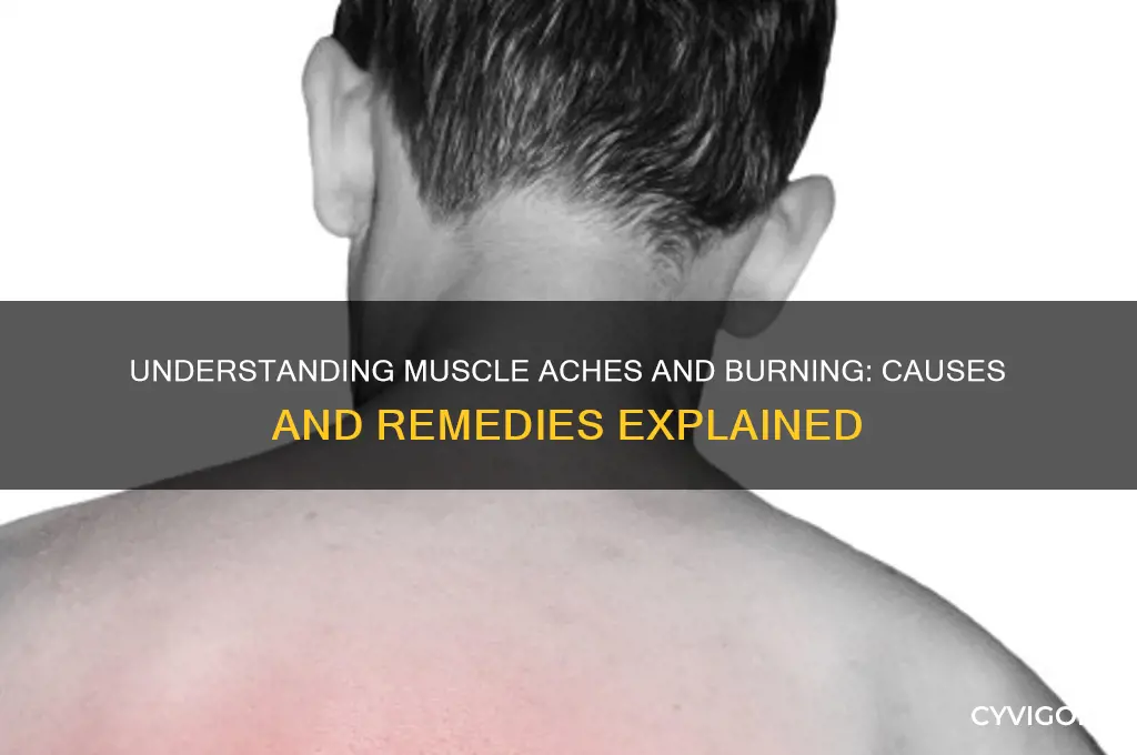 what causes muscles to ache and burn