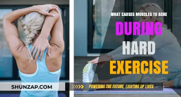 Why Muscles Ache During Intense Workouts: Unraveling the Science Behind Soreness