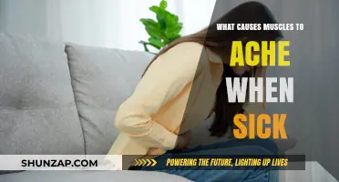Why Muscles Ache When You're Sick: Unraveling the Painful Connection