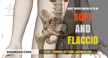 Understanding Soft, Flaccid Muscles: Causes and Contributing Factors