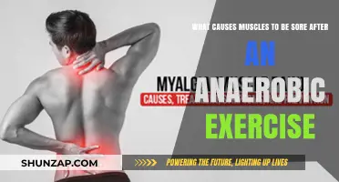 Unraveling Muscle Soreness: Causes Behind Post-Anaerobic Exercise Pain