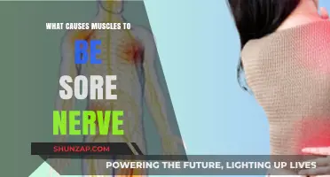 Understanding Muscle Soreness: Nerve Causes and Effective Relief Strategies