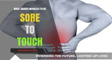 Why Muscles Ache: Uncovering Causes of Touch Sensitivity and Soreness