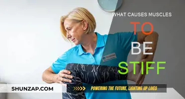 Muscle Stiffness: Causes and Prevention