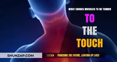 Why Your Muscles Ache: Understanding Tender-to-Touch Causes
