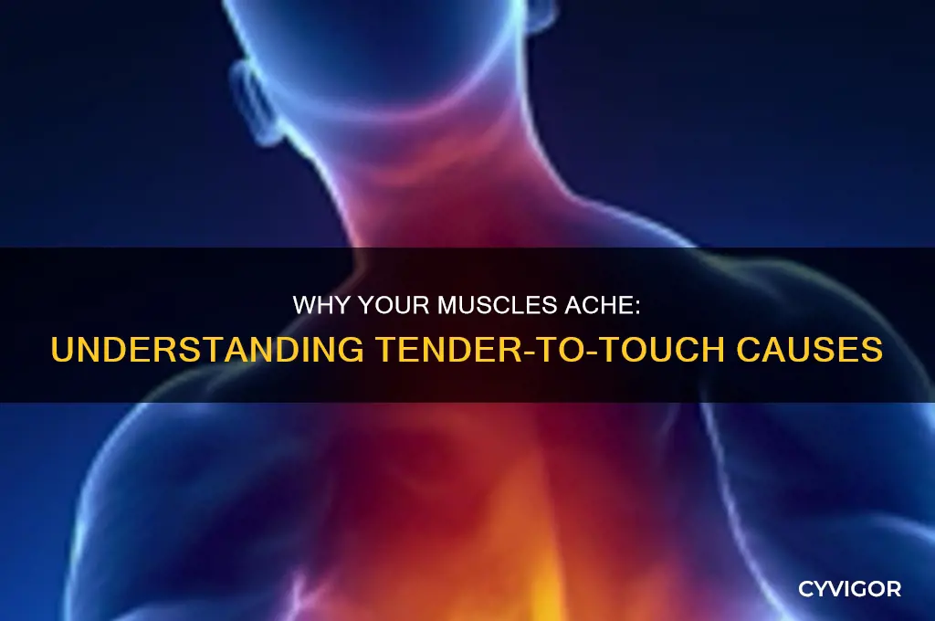 what causes muscles to be tender to the touch