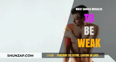 Understanding Muscle Weakness: Causes and Contributing Factors Explained