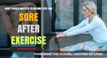 Why Muscles Stiff and Sore After Exercise: Understanding Post-Workout Pain