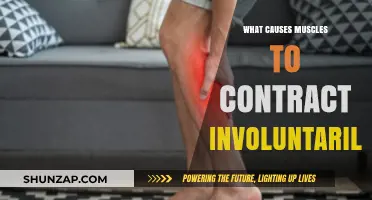 Unraveling the Mystery: Why Muscles Contract Involuntarily Explained