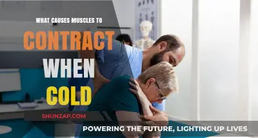 Cold-Induced Muscle Contractions: Understanding the Science Behind Shivering