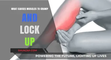 Understanding Muscle Cramps: Causes of Sudden Locking and Pain