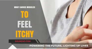Why Muscles Itch: Uncovering Causes and Relief Strategies
