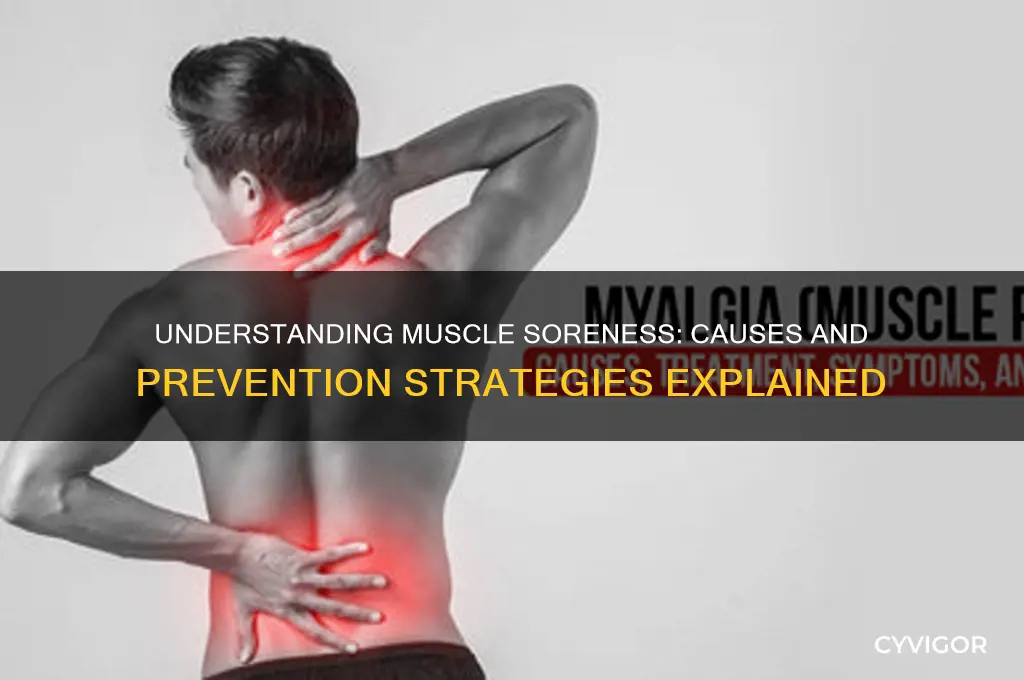 what causes muscles to get sour