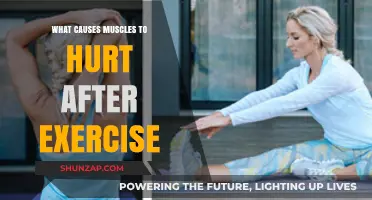 Why Muscles Ache Post-Workout: Understanding Delayed Onset Muscle Soreness
