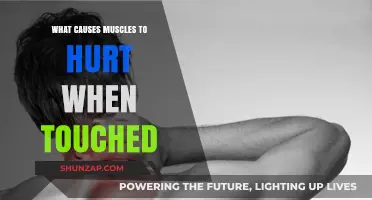 Why Muscles Ache to the Touch: Uncovering the Painful Triggers