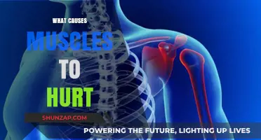 Why Muscles Ache: Uncovering Common Causes of Muscle Pain