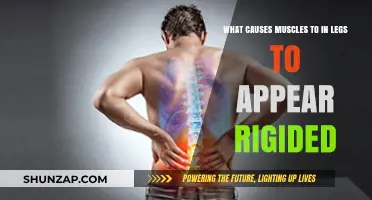 Why Leg Muscles Feel Rigid: Causes and Solutions Explained