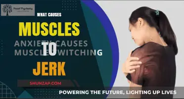 Understanding Muscle Jerks: Causes and Triggers Explained