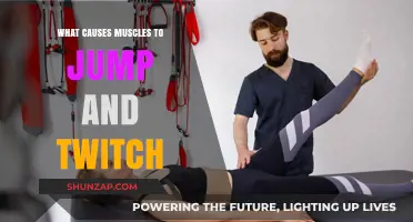 Why Muscles Twitch: Uncovering Causes of Involuntary Jumping and Twitching
